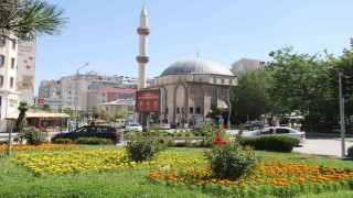 Vandaki cadde ve kavşaklar çiçek açtı