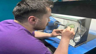 Vanın tek gümüş kakma ustası mesleğini yaşatıyor