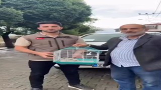Vatandaşlar ve askerlerin bulduğu 3 kerkenez yavrusu doğaya salındı