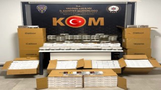 Yalovada 150 bin adet dolu makaron ele geçirildi