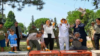 Yalovada 300 keklik doğaya salındı