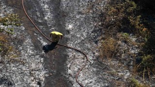 Yalovada çıkan orman yangını büyümeden söndürüldü