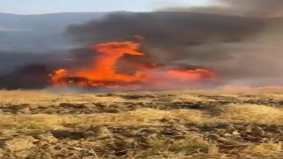 Yalovada tarlada çıkan yangında yüzlerce saman balyası kül oldu