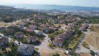 Yalovada tepki çeken hayvan besleme yasağı