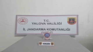 Yalovada uyuşturucu operasyonunda 2 tutuklama