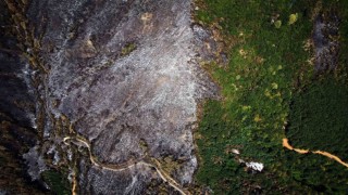 Yangın sonrası acı tablo: Yeşil ve siyah yan yana