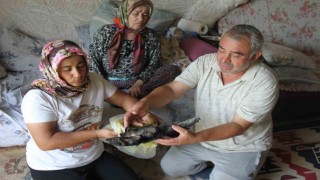 Yangında depoda sakladıkları 90 bin TL kül olan aile Merkez Bankasına başvurdu