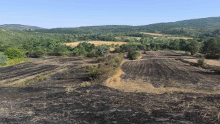 Yangında ekinleri zarar gören çiftçilere gübre ve tohum desteği