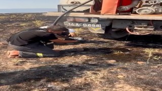 Yangından etkilenen kirpiye elleriyle su verdiler