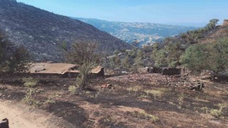 Yangından geriye küle dönen evler ve tarlalar kaldı