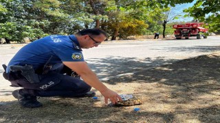 Yanmak üzere olan kaplumbağayı polis son anda kurtardı