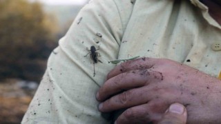 Yatağandaki orman yangını kontrol altına alındı, soğutma çalışmaları sürüyor