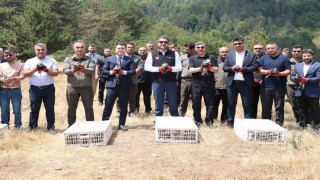 Yaylatepede 500 keklik doğaya salındı