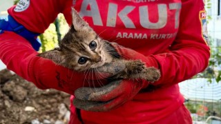 Yerin 2,5 metre altındaki 7 günlük esaret böyle sonlandı