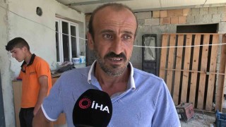 Yılana benzerliğiyle dikkat çeken 1 buçuk metrelik kertenkele kameralara yakalandı
