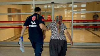 Yılanın ısırdığı kadın hastaneye kaldırıldı