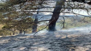 Yıldırım düşmesi sonucu çıkan orman yangını havadan müdahale ile söndürüldü