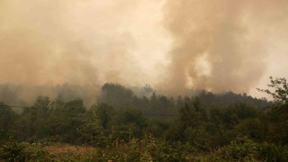 Yoğun dumanlar havadan müdahaleyi zorlaştırıyor
