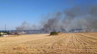 Yol kenarına atıdığı iddia edilen izmarit yangın çıkardı: Tekirdağ-İstanbul yolu dumanlarla kaplandı
