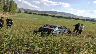 Yoldan çıkan otomobil tarlaya uçtu :1 yaralı