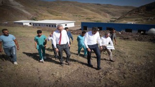 Yüksekovada sokak hayvanlarına modern yaşam alanı