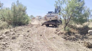 Yunusemrede özel ağaçlandırma alanlarına bakım