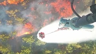 Ziraat alanında çıkan yangın ormana sıçradı