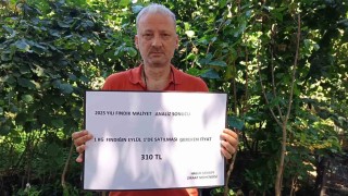 Ziraat mühendisinden fındığın maliyeti hesabı: 222 TL