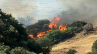 Zirai alanda başlayan yangın ormana sıçradı müdahale devam ediyor