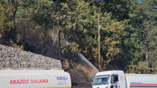 Zonguldakta çıkan örtü yangını kontrol altına alındı