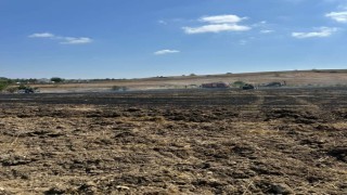 20 dönümlük alan anız yangınında kül oldu