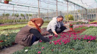 27 milyon 300 bin adet çiçek üretimi gerçekleştirildi
