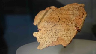 3 bin yıllık fındığın bulunduğu kutsal şehirdeki kazılar 20. yıla ulaştı