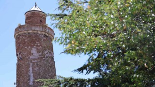 4 bin yıllık Harputa gelenler, Pisadan daha eğri minareyi görünce şaşırıyor