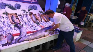 40 kiloluk yayın balığını görenler Canavar gibi diyor