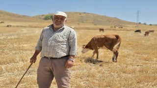 40 yıllık çoban sağlığını mesleğine borçlu olduğunu söyledi