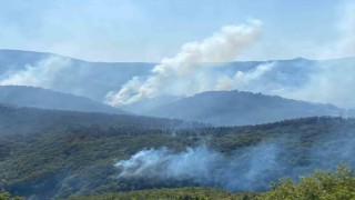 963 personel, 16 hava aracı ile Karamürseldeki yangına büyük seferberlik