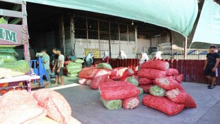 Acarlarda eli ayağı tutan herkes çalışıyor