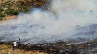 Adana Tufanbeyli’de Anız Yangını Ormana Sıçradı