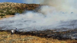 Adana Tufanbeylide orman yangını