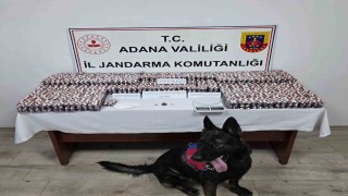 Adanada 19 bin 167 adet uyuşturucu hap ele geçirildi: 1 tutuklama