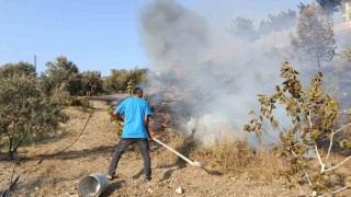 Adanada ağaçlık alanda çıkan yangın kontrol altına alındı