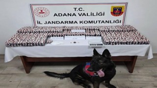 Adana’da Jandarmadan Büyük Uyuşturucu Operasyonu