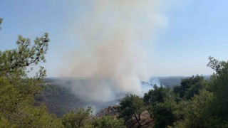 Adanada orman yangını