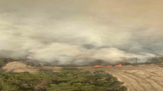 Adanada orman yangınına 6 helikopter ve 2 uçakla müdahale ediliyor