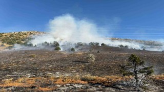 Adanadaki orman yangını kontrol altına alındı