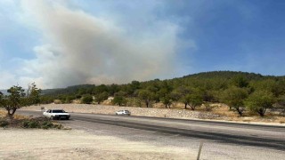 Adıyamanda orman yangını