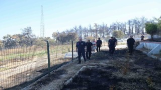 AFAD Başkanı Pehlivan, Çanakkalede incelemelerde bulundu