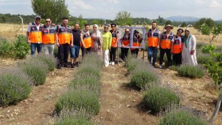AFAD gönüllüleri lavanta bahçesinden çevreye duyarlılık mesajı verdi