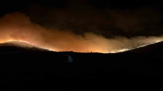 Afyonkarahisardaki orman yangınına müdahale sürüyor